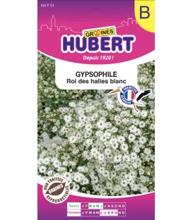 Graines de Gypsophile Roi des Halles Blanc