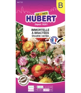 Immortelle &agrave; Bract&eacute;es Double Vari&eacute;e &copy; Image prot&eacute;g&eacute;e t&eacute;l&eacute;chargement interdit !
