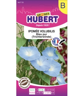 Ipom&eacute;e Volubilis Bleu Pur &copy; Image prot&eacute;g&eacute;e t&eacute;l&eacute;chargement interdit !