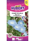 Ipomée Volubilis Bleu Pur © Image protégée téléchargement interdit !