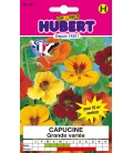 Capucine Grimpante Variée Format ECO