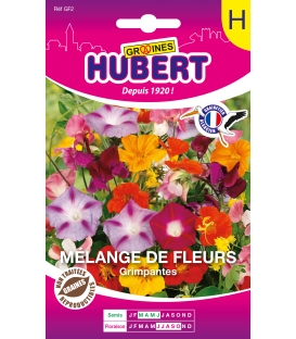 Fleurs Grimpantes en M&eacute;lange 