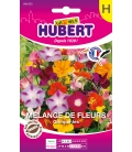 Fleurs Grimpantes en Mélange 