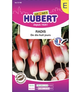 Radis de 18 jours Format ECO