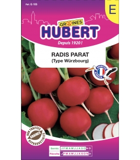 Radis Parat Type W&uuml;rzbourg