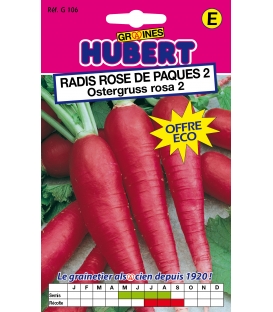 Radis Rose de Paques 2  "Ostergruss Rosa" &copy;Images prot&eacute;g&eacute;es t&eacute;l&eacute;chargement interdit ! 