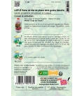 Laitue Reine de Mai Hâtive format ECO