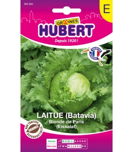 Laitue Batavia Blonde de Paris Format ECO