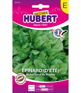 Epinard d'&eacute;t&eacute; Monstrueux de Viroflay
