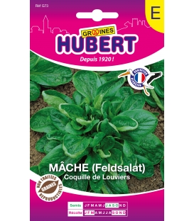 M&acirc;che Coquille de Louviers Feldsalat