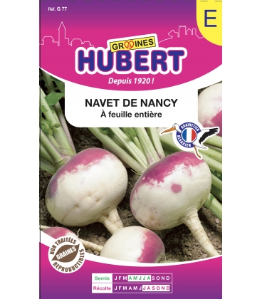 Navet de Nancy &agrave; Feuille Enti&egrave;re Format ECO