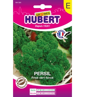 Persil Frisé Vert Foncé Format ECO