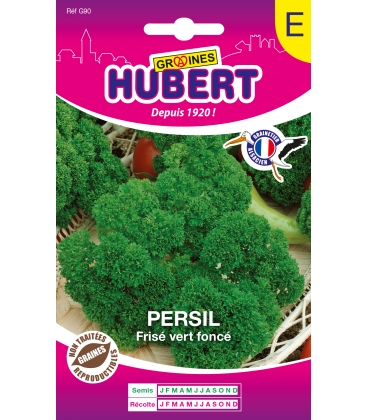 Persil Fris&eacute; Vert Fonc&eacute; Format ECO