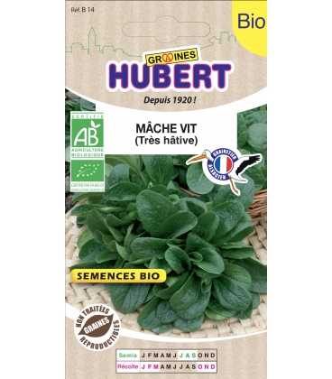M&acirc;che Vit BIO