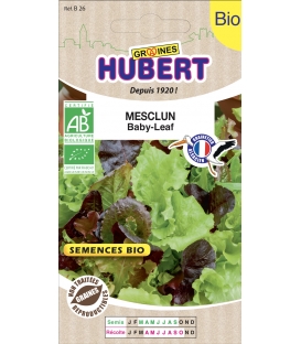 Mesclun Baby-Leaf BIO - &copy; Image prot&eacute;g&eacute;e t&eacute;l&eacute;chargement interdit !