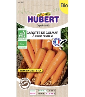 Carotte de Colmar BIO &copy; Images prot&eacute;g&eacute;es t&eacute;l&eacute;chargement interdit !