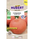 Potimarron Uchiki Kuri BIO © Images protégées téléchargement interdit !