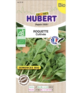 Roquette Cultiv&eacute;e (Rauke) BIO