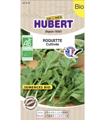 Roquette Cultiv&eacute;e (Rauke) BIO