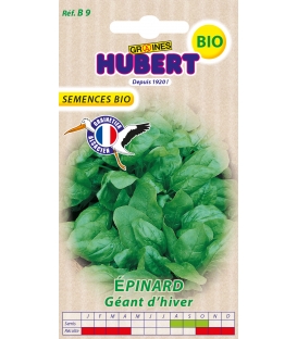 Epinard G&eacute;ant d'Hiver BIO
