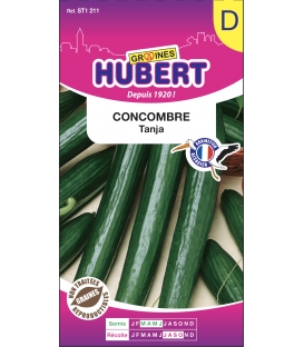 Concombre Tanja