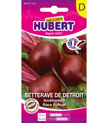 Betterave Race Bolivar