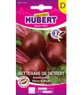 Betterave de Détroit améliorée 2 race Bolivar