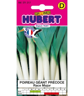 Poireau G&eacute;ant Pr&eacute;coce Race Major &copy;Images prot&eacute;g&eacute;es t&eacute;l&eacute;chargement interdit !