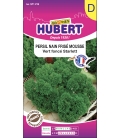 Persil nain frisé mousse Scarlett