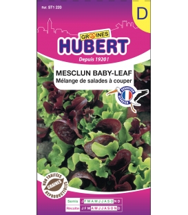 Mesclun Baby-Leaf - &copy; Image prot&eacute;g&eacute;e t&eacute;l&eacute;chargement interdit !