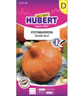 Potimarron Uchiki Kuri