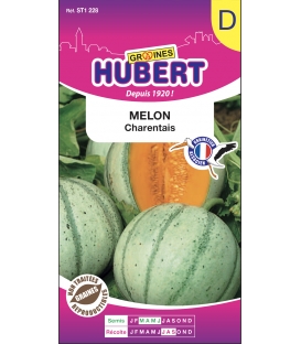 Graines de Melon Charentais