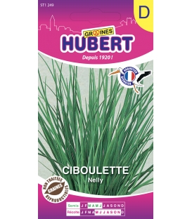 Ciboulette Nelly