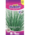 Ciboulette Nelly