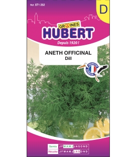 Aneth officinal "DILL" &copy;Images prot&eacute;g&eacute;es t&eacute;l&eacute;chargement interdit !