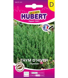 Thym d'hiver