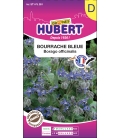 Bourrache Bleue © Images Protégées, Téléchargement Interdit !
