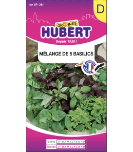 Basilic en M&eacute;lange 5 vari&eacute;t&eacute;s &copy;Images prot&eacute;g&eacute;es t&eacute;l&eacute;chargement interdit !