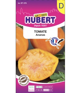 Tomate Ananas &copy; Image Prot&eacute;g&eacute;e,T&eacute;l&eacute;chargement Interdit !