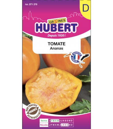 Tomate Ananas