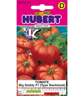 Tomate Big Daddy F1 Type Beefsteak - &copy;Images prot&eacute;g&eacute;es t&eacute;l&eacute;chargement interdit !