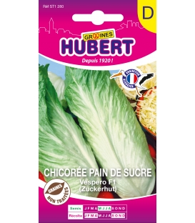 Chicor&eacute;e Pain de Sucre Vespero F1 -&copy; Image prot&eacute;g&eacute;e t&eacute;l&eacute;chargement interdit ! 