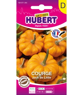 Graines de Courge Jack Be Little &copy; Images prot&eacute;g&eacute;es t&eacute;l&eacute;chargement interdit !