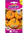 Graines de Courge Jack Be Little © Images protégées téléchargement interdit !