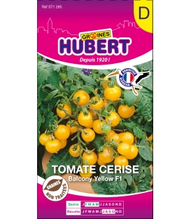 Tomate Cerise Balcony Yellow F1 &copy; Images prot&eacute;g&eacute;es t&eacute;l&eacute;chargement interdit !
