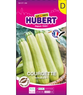 Courgette Ismalia F1