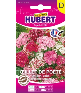 Oeillet de Po&egrave;te Double Vari&eacute; &copy; Image prot&eacute;g&eacute;e t&eacute;l&eacute;chargement interdit !