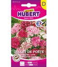 Oeillet de Poète Double Varié © Image protégée téléchargement interdit !