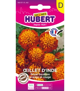 Oeillet d'Inde Royal Bicolore Orange et Rouge &copy; Image prot&eacute;g&eacute;e t&eacute;l&eacute;chargement interdit !