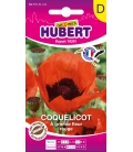 Coquelicot Pavot d'Orient Rouge © Image protégée téléchargement interdit !